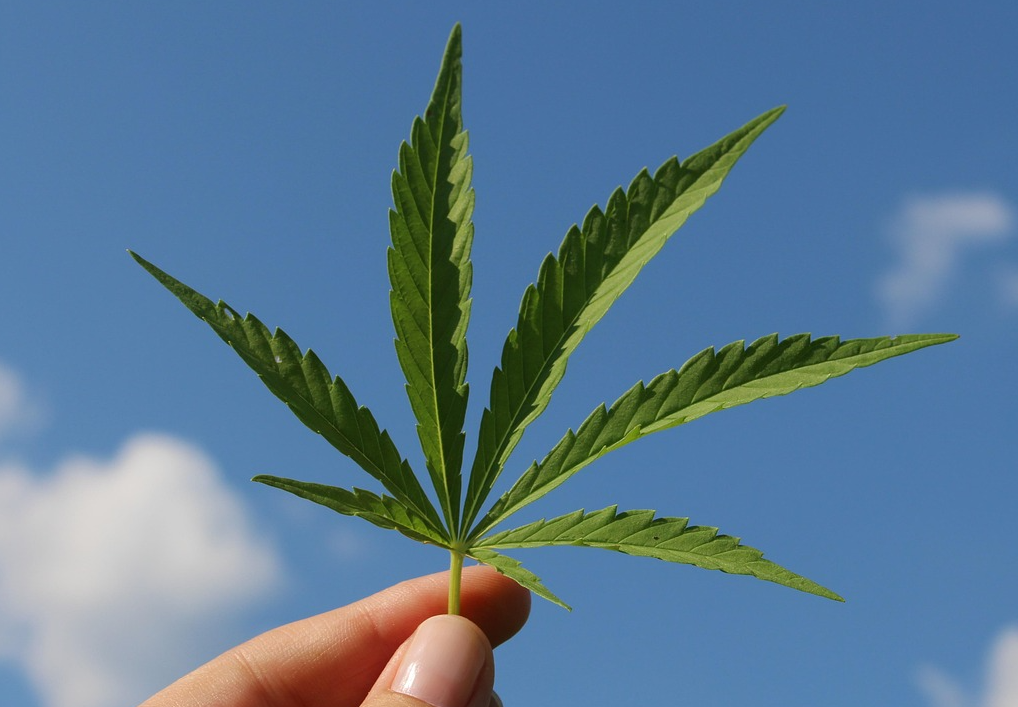 5 Common Growing Mistakes and How to Avoid Them