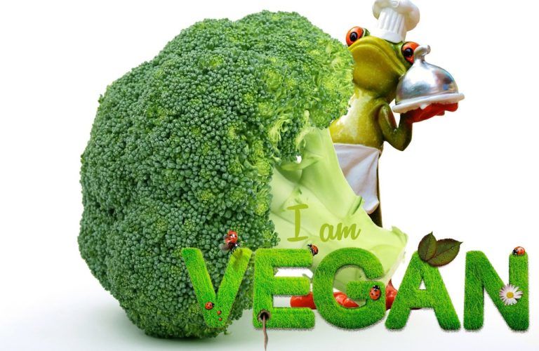 Protein for Vegans and Why You Must Adopt Veganism Today