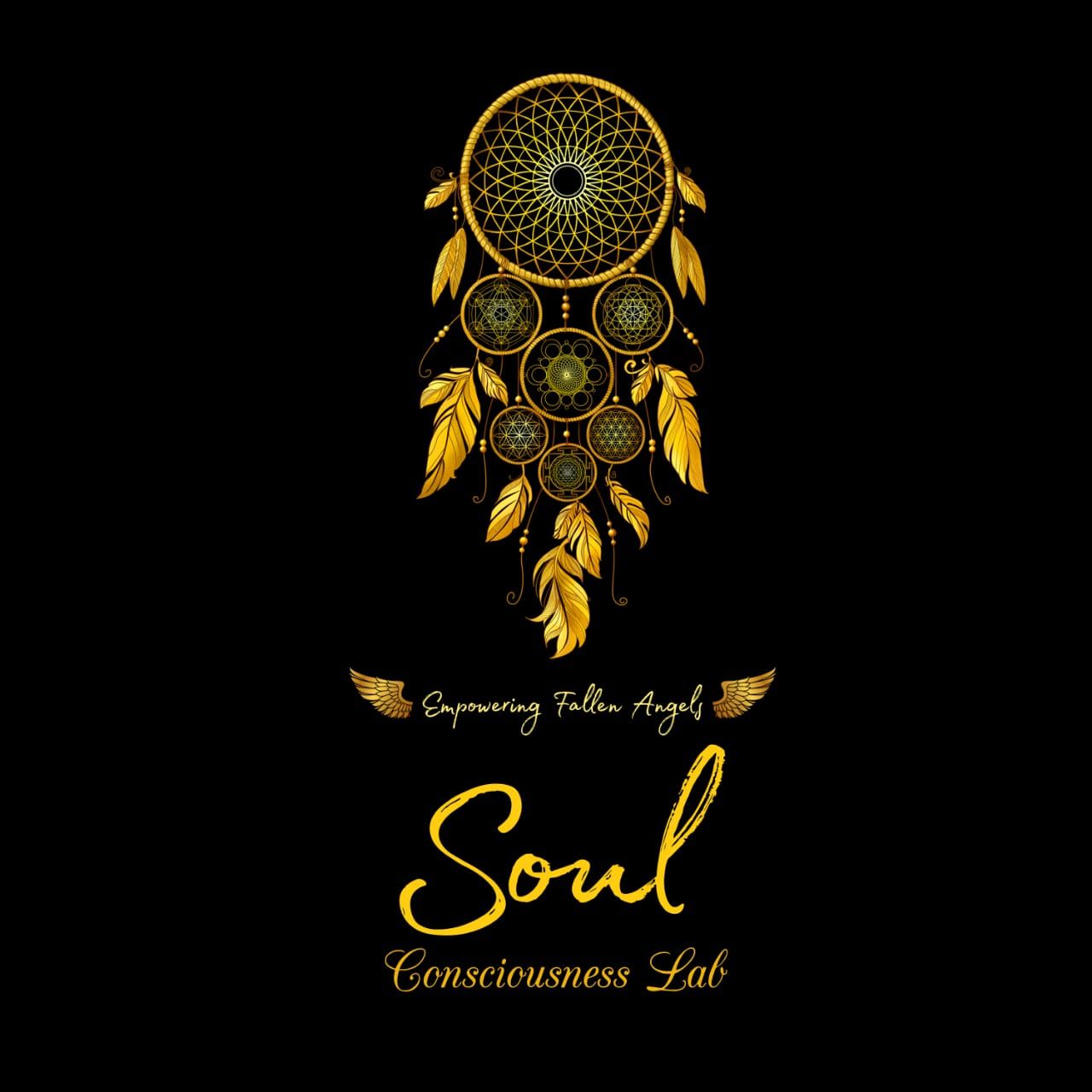 Regression Diaries - "Women Abuse"