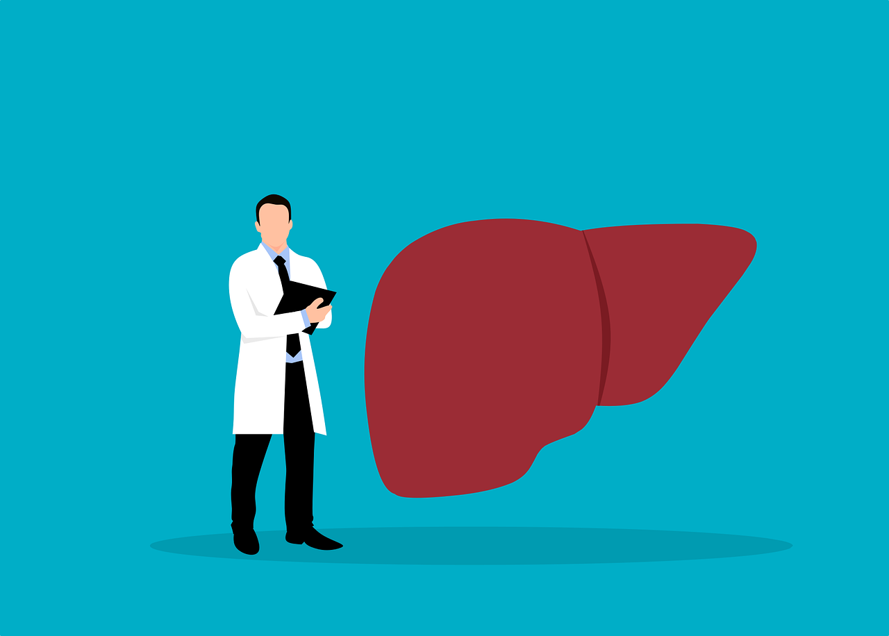 The Importance of Choosing a Good Liver Function Testing Doctor