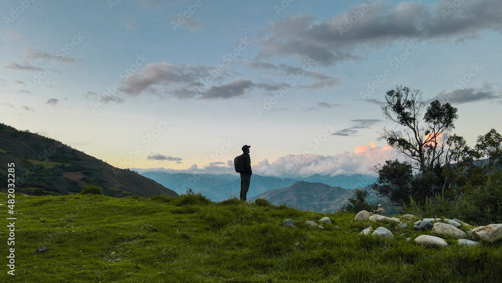 Leading a wholesome life