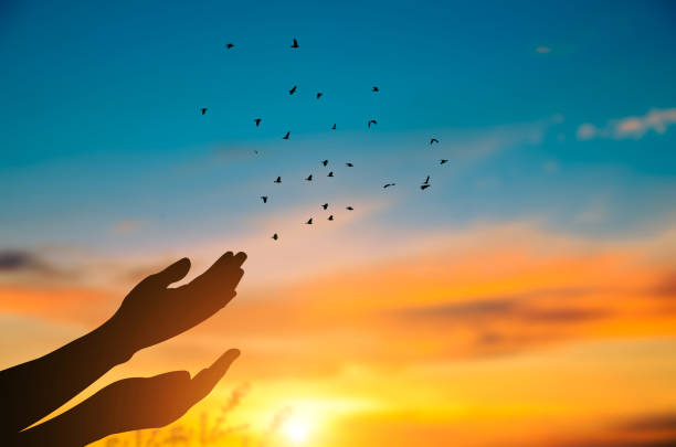 Positive Moving Experiences: Embrace Change with Confidence