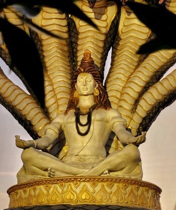 The Science Behind the Mahamrityunjaya Mantra: