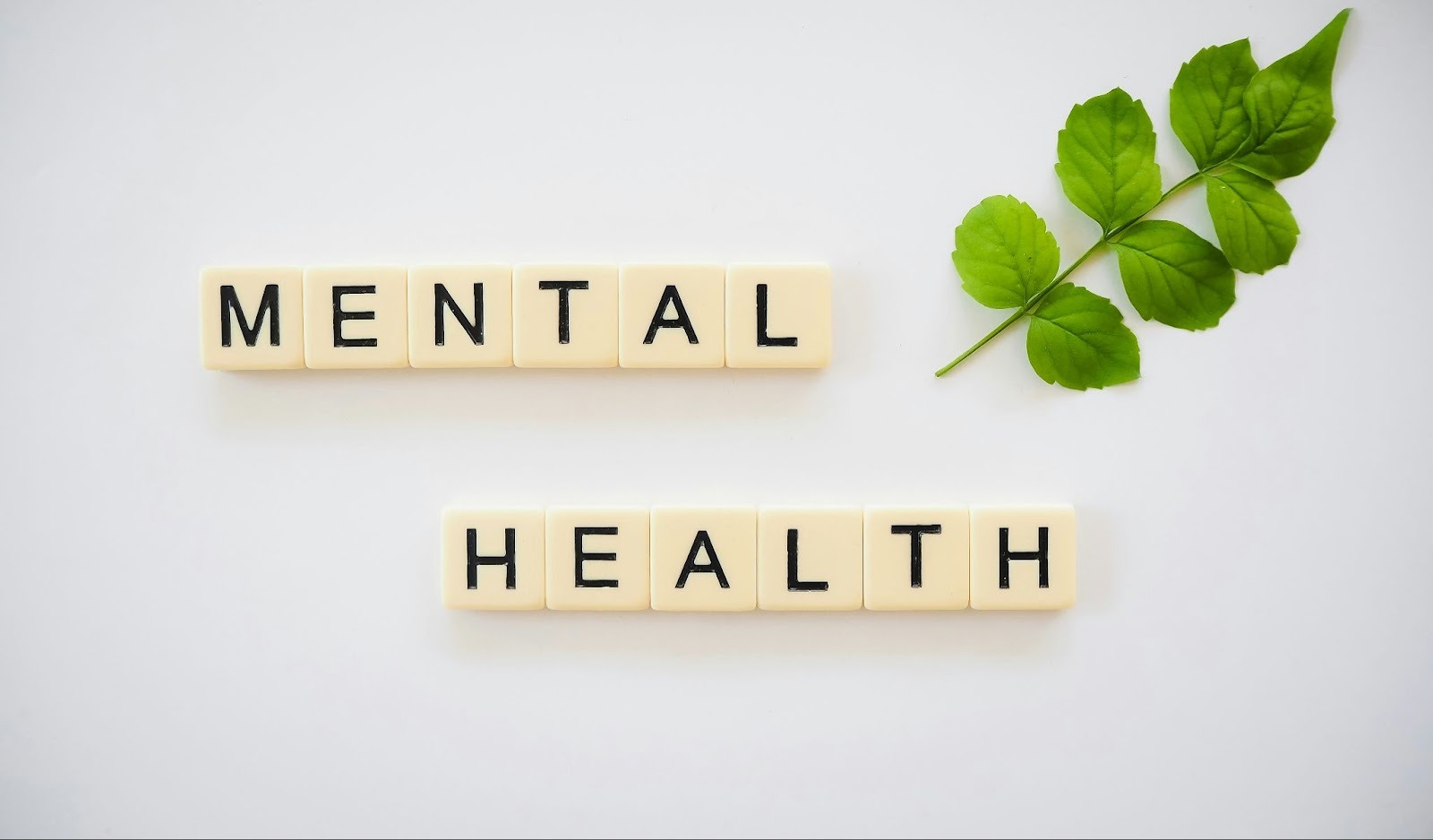 The Intersection of Legal Action and Mental Health Recovery
